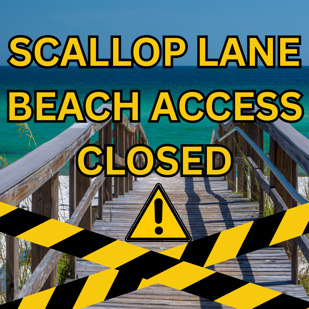 SCALLOP CLOSED