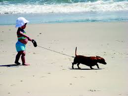dog leash walk beach